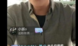 葛思齐最新爆料大s照片,揭秘明星生活点滴