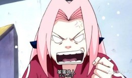 火影小樱爆料直播视频大全,独家爆料视频大全精彩回顾