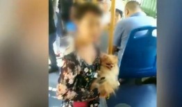 大狗最新爆料视频大全集,揭秘热点事件背后的真相