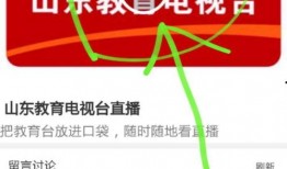 山东教育直播在线观看,云端课堂，畅享优质教育资源