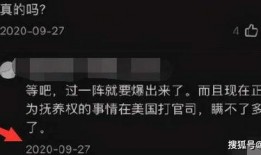 原神爆料外国网友视频下载,外国网友深度解析游戏细节与亮点