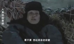 人是铁饭是钢在线观看,探寻饮食与健康的生活哲学