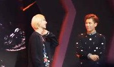 无极最新爆料视频大全下载,精彩瞬间一网打尽