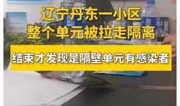 丹东爆料大全视频,揭秘幕后真相，深度解析社会热点事件