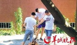 汕头最新爆料新闻事件,最新爆料事件引发社会关注