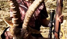 美女狩猎在线观看,激情追踪，在线揭秘神秘猎艳之旅