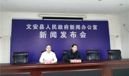 文安一中爆料新闻视频,揭秘校园热点事件