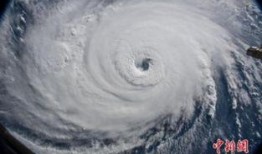 飓风在线观看,惊心动魄的生存挑战