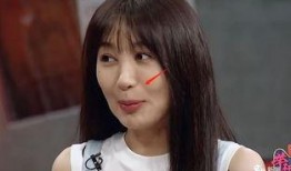 李菲儿爆料视频大全集,揭秘娱乐圈幕后真相