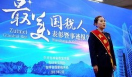 美国税局最新爆料新闻,揭秘巨额逃税案件及内部调查进展