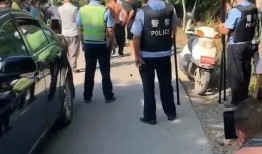 屯子最新爆料事件,揭秘事件背后惊人真相