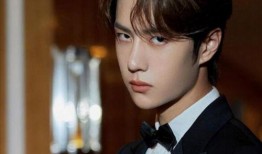 国内爆料王一博赵丽颖视频,甜蜜瞬间引网友热议